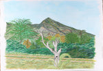 Volcano San Salvador