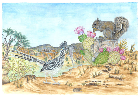 Greater Road Runner and Desert Rock Squirrel