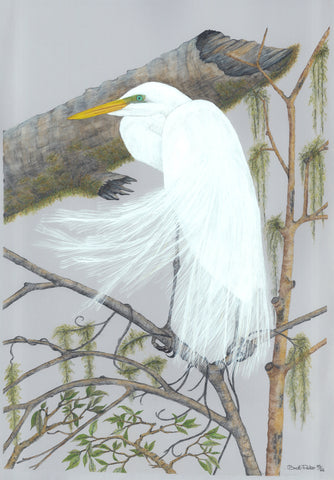 Great White Egret